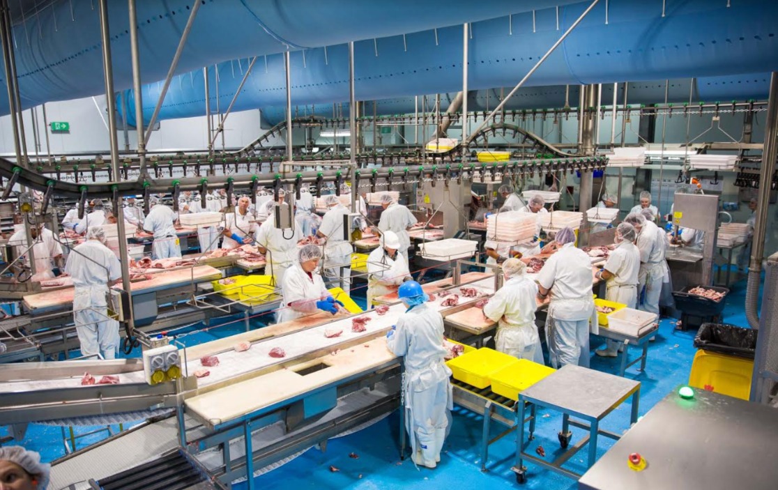 Brownfield micro bovine boning room design (Stage 1)