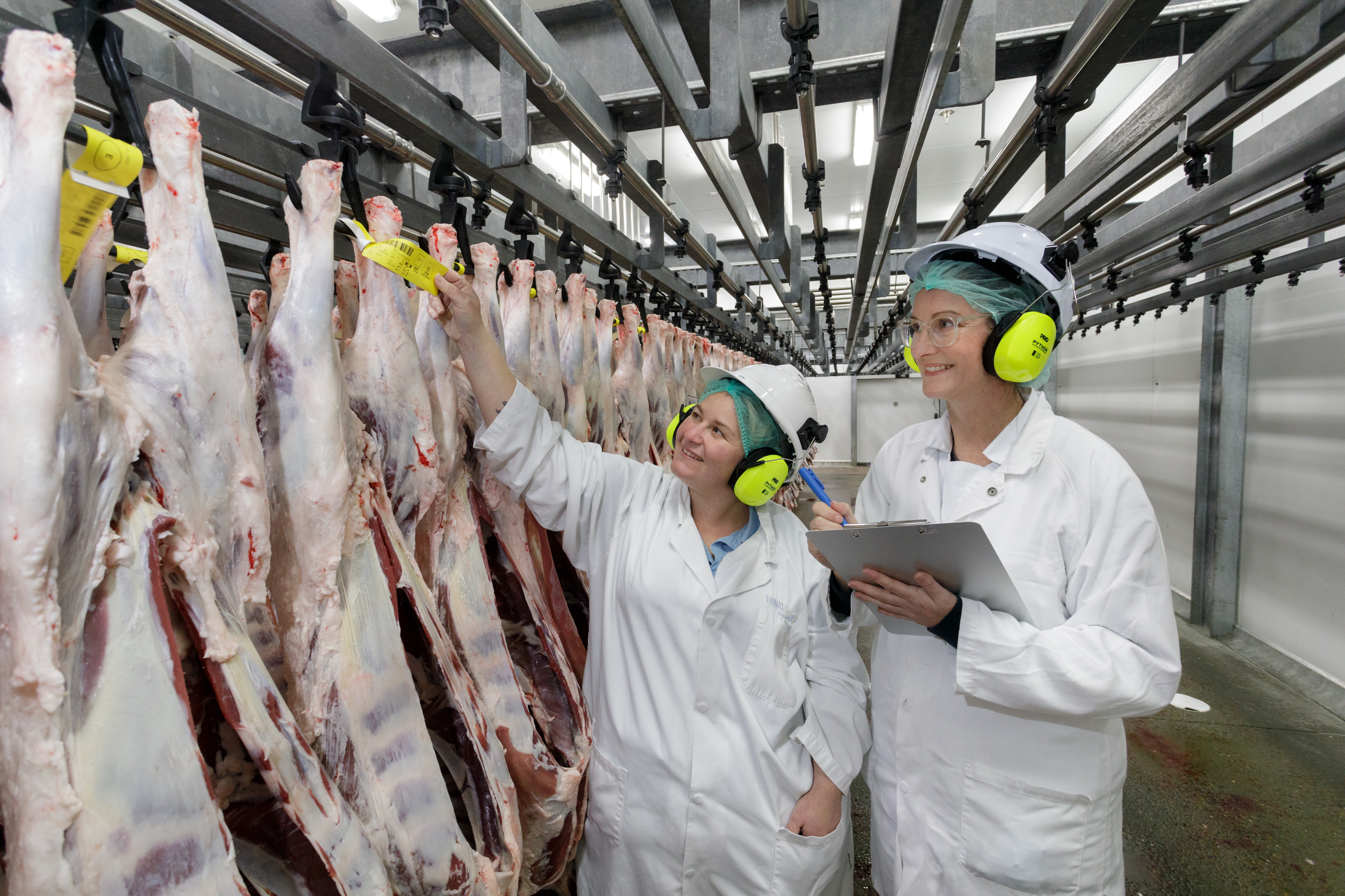 Modernising food safety monitoring for Australian processors 