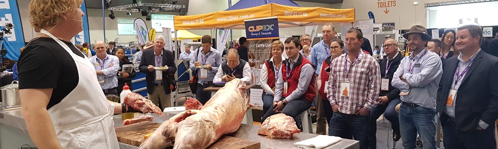 LambEx 2018 Recap