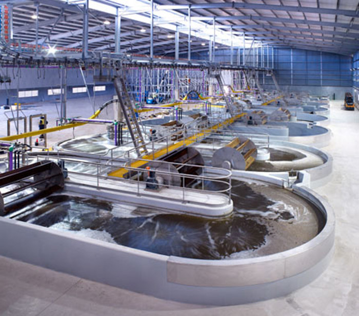 The future of hide processing in Australia
