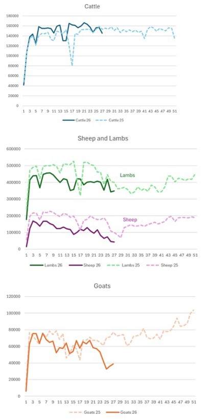 Weekly throughput trend